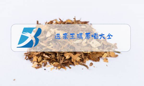 送亲王琪原唱大全图片