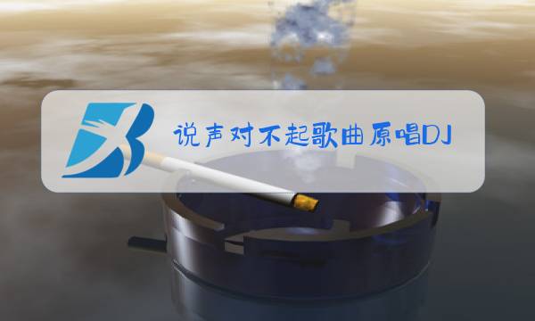 说声对不起歌曲原唱DJ图片