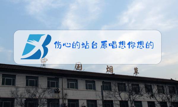 伤心的站台原唱想你想的好心痛歌曲图片