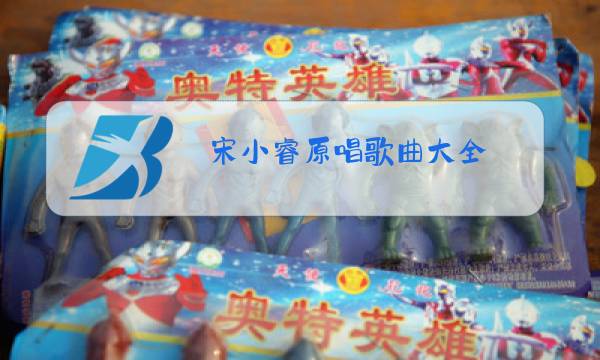 宋小睿原唱歌曲大全图片