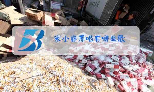 宋小睿原唱有哪些歌图片