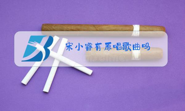 宋小睿有原唱歌曲吗图片