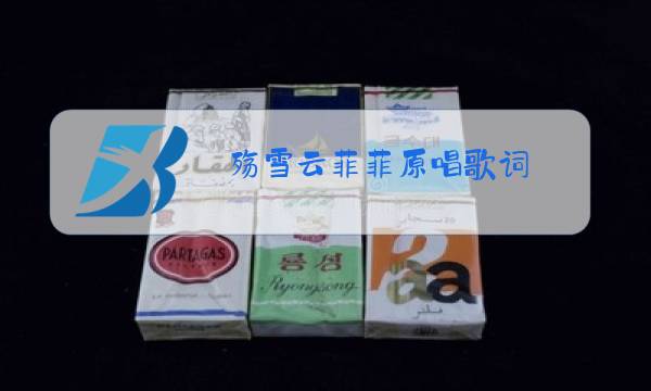 殇雪云菲菲原唱歌词图片