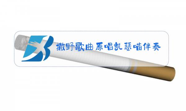 撒野歌曲原唱凯瑟喵伴奏图片