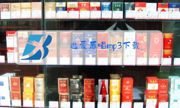 逃爱原唱mp3下载图片