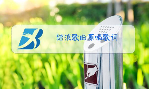 踏浪歌曲原唱歌词图片