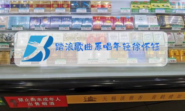 踏浪歌曲原唱年轻徐怀钰图片
