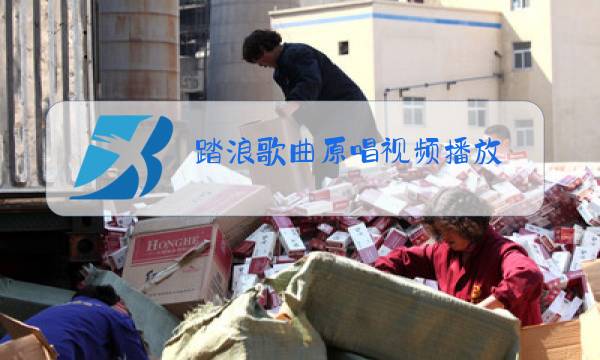 踏浪歌曲原唱视频播放图片