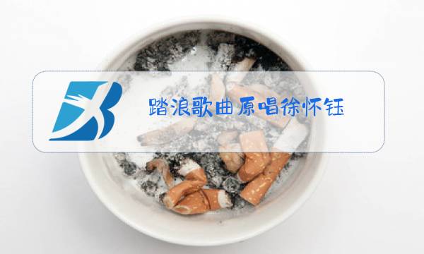 踏浪歌曲原唱徐怀钰图片