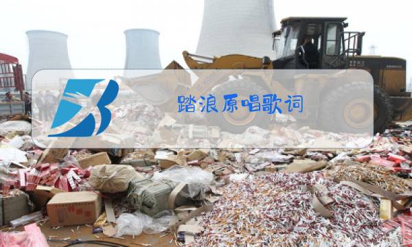 踏浪原唱歌词图片