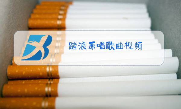踏浪原唱歌曲视频图片