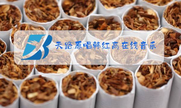 天路原唱韩红高在线音乐图片