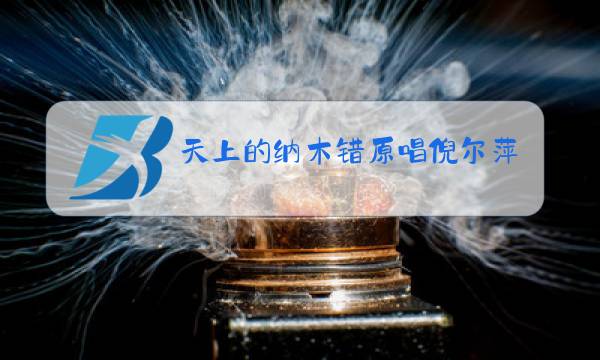 天上的纳木错原唱倪尔萍mp3图片