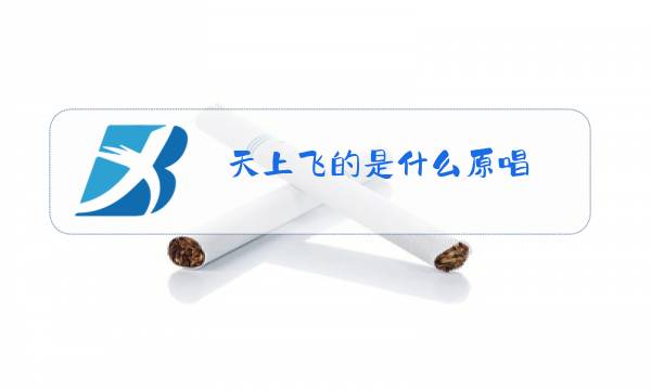 天上飞的是什么原唱图片