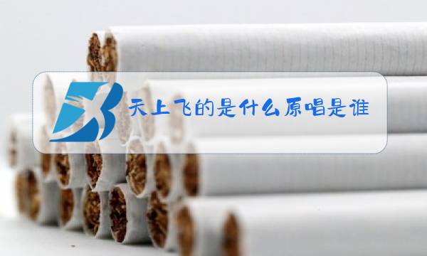 天上飞的是什么原唱是谁唱的图片
