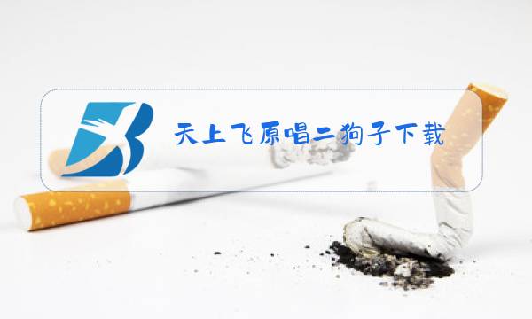 天上飞原唱二狗子下载图片