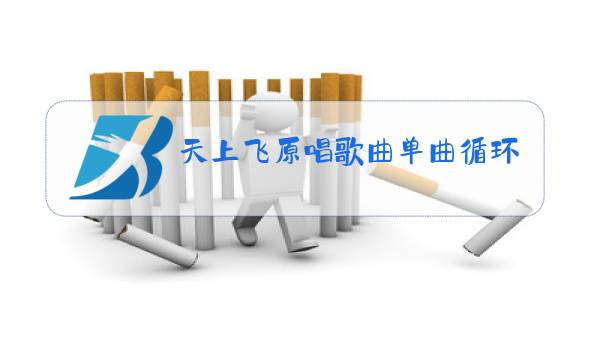 天上飞原唱歌曲单曲循环二狗子图片