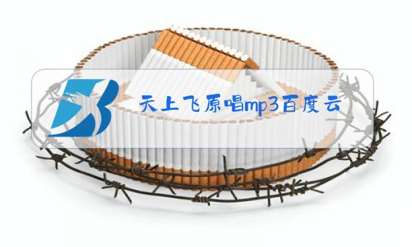 天上飞原唱mp3百度云下载图片