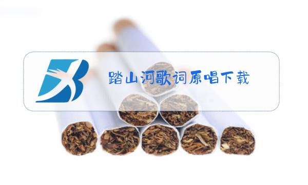踏山河歌词原唱下载图片