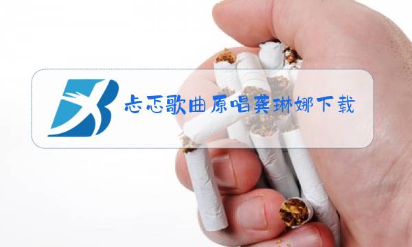 忐忑歌曲原唱龚琳娜下载图片