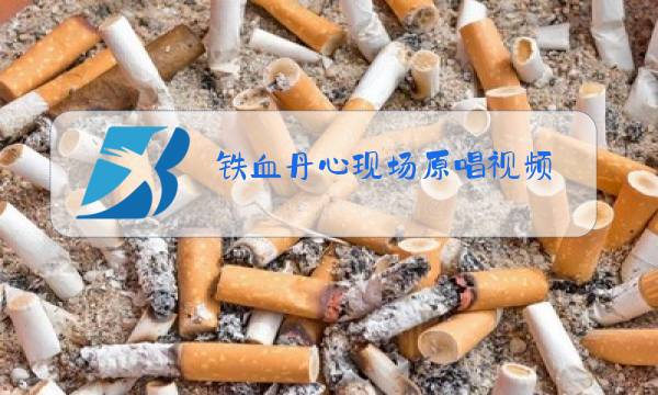 铁血丹心现场原唱视频图片