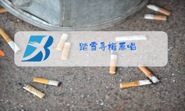 踏雪寻梅原唱图片