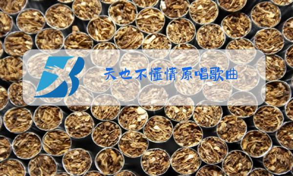 天也不懂情原唱歌曲图片