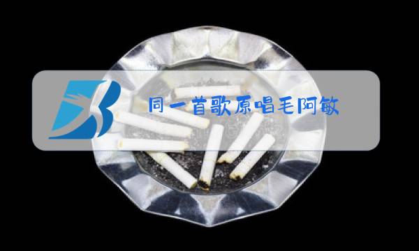 同一首歌原唱毛阿敏图片