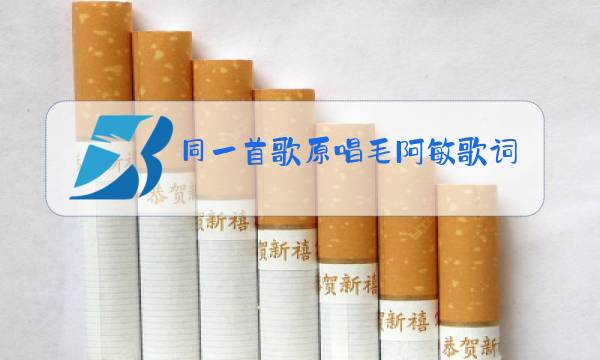 同一首歌原唱毛阿敏歌词图片