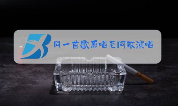 同一首歌原唱毛阿敏演唱会图片