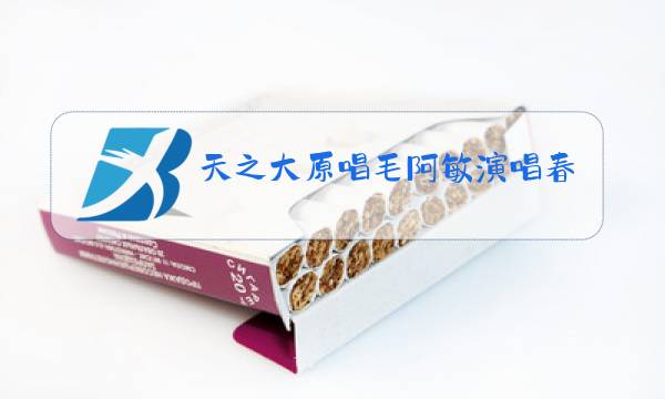 天之大原唱毛阿敏演唱春晚图片