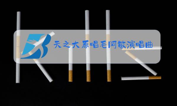 天之大原唱毛阿敏演唱曲图片