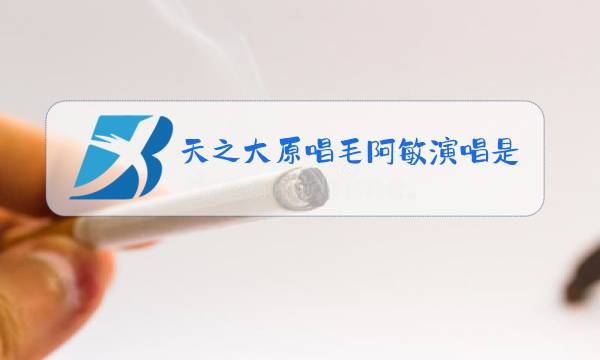 天之大原唱毛阿敏演唱是不是我们不长大图片