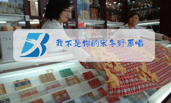 我不是你的宋冬野原唱图片