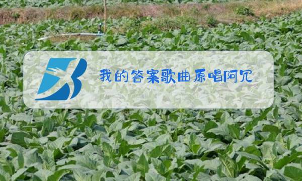我的答案歌曲原唱阿冗图片