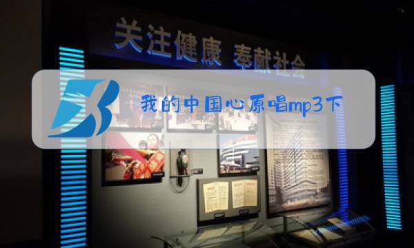 我的中国心原唱mp3下载图片