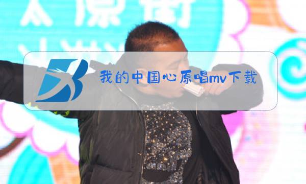 我的中国心原唱mv下载图片