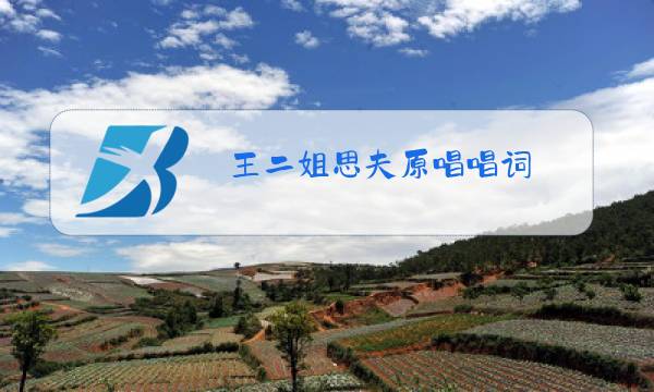 王二姐思夫原唱唱词图片