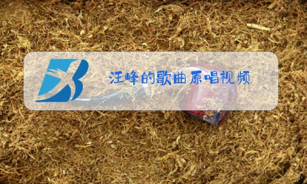 汪峰的歌曲原唱视频图片
