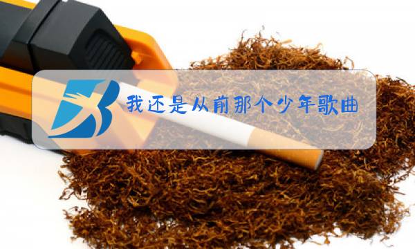 我还是从前那个少年歌曲原唱图片