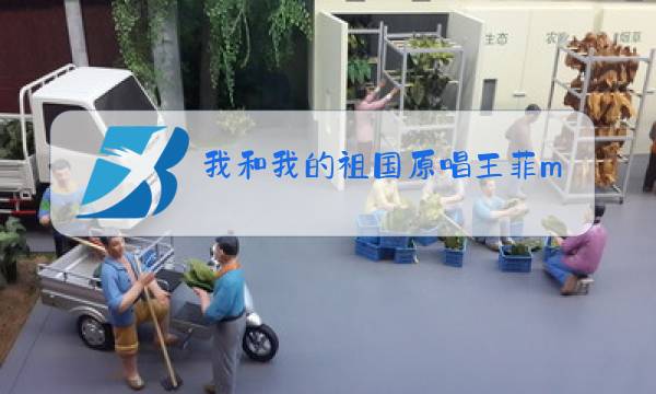 我和我的祖国原唱王菲mv下载图片