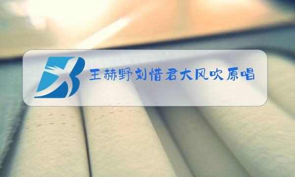 王赫野刘惜君大风吹原唱图片