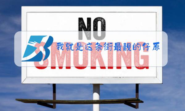 我就是这条街最靓的仔原唱图片