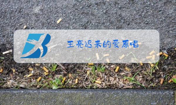 王亮迟来的爱原唱