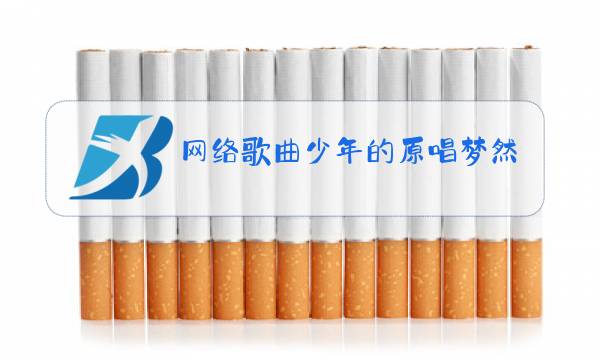 网络歌曲少年的原唱梦然图片