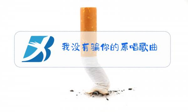 我没有骗你的原唱歌曲图片