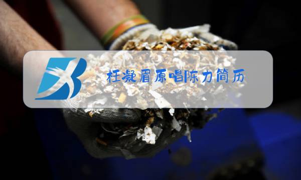 枉凝眉原唱陈力简历图片