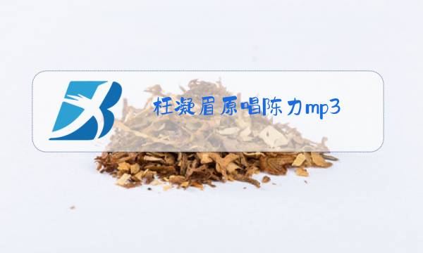 枉凝眉原唱陈力mp3图片