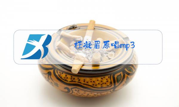 枉凝眉原唱mp3图片