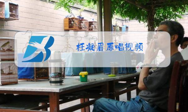 枉凝眉原唱视频图片